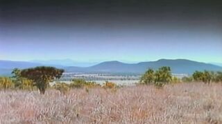 Afrika - Magyar szinkronos teljes vhs erotikus videó