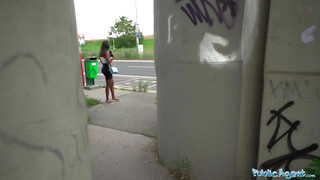 Public Agent - Óriás cicis barna spiné dug