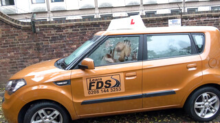 Fake Driving School - Louise Lee szereti a hatalmas dákót