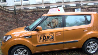 Fake Driving School - felnyírt hajú csajnak nem elég a verdában