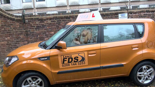 Fake Driving School a csattogó cickós Nikki Dream