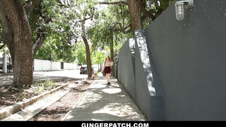 GingerPatch - szépséges pici vörös kisasszony és a szomszédja
