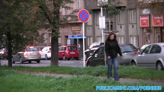 PublicAgent - Óriás tőgyes cseh spiné
